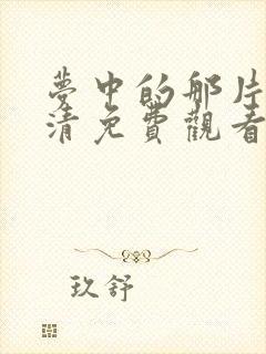 梦中的那片海高清免费观看封面