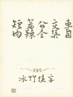 短篇公交车高h肉辣全集目录