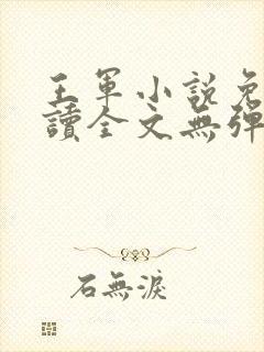 王军小说免费阅读全文无弹窗