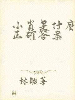 小肖是什么生肖正确答案封面