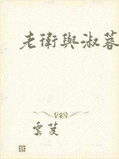 老卫与淑蓉封面