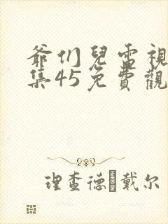 爷们儿电视剧全集45免费观看