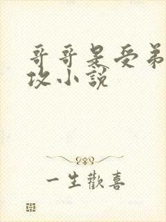 哥哥是受弟弟是攻小说封面