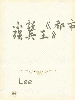 小说 《都市最强兵王》