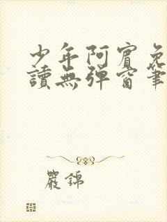 少年阿宾免费阅读无弹窗笔趣阁