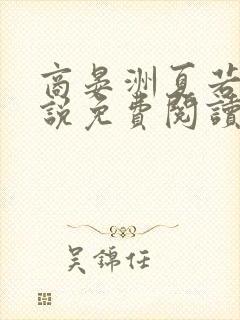 商晏洲夏若初小说免费阅读最新章节封面