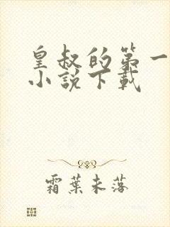 皇叔的第一宠妃小说下载