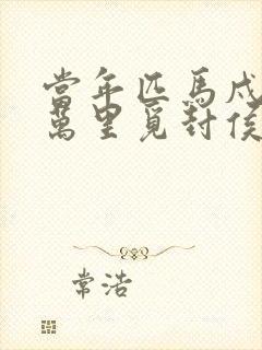 当年匹马戍梁州万里觅封侯