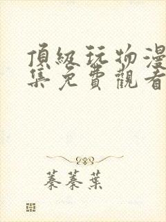 顶级玩物漫画全集免费观看下拉式