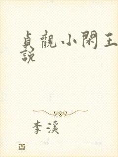 贞观小闲王 小说