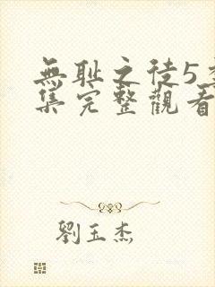 无耻之徒5季全集完整观看