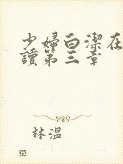 少妇白洁在线阅读第三章