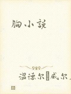胸小说封面