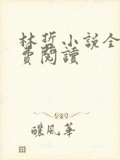 林哲小说全集免费阅读