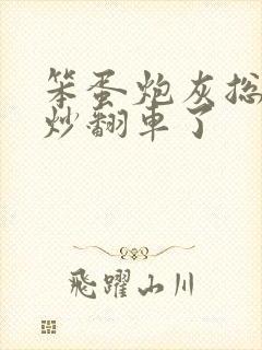 笨蛋炮灰总被爆炒翻车了封面