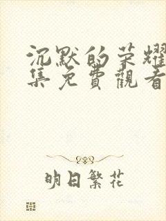 沉默的荣耀第8集免费观看