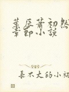 叶辰萧初然最新章节小说