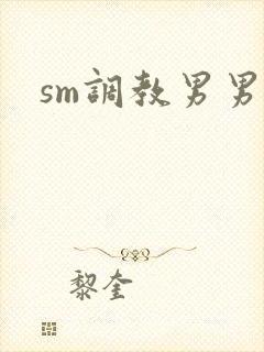 sm调教男男文