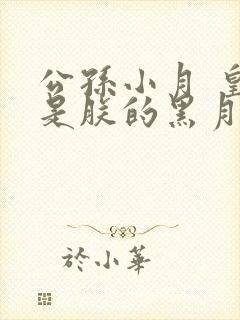 公孙小月 皇后是朕的黑月光封面