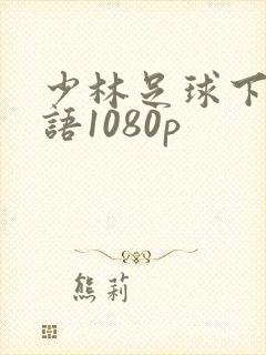 少林足球下载国语1080p