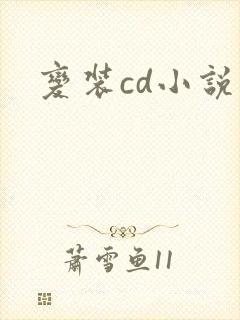 变装cd小说