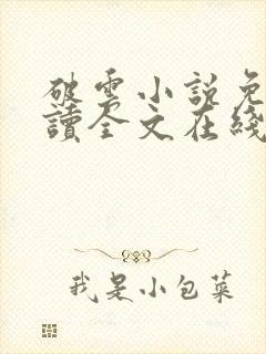 破云小说免费阅读全文在线封面