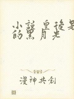 小说 皇后是朕的黑月光