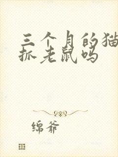 三个月的猫可以抓老鼠吗