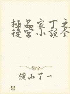 极品家丁之风流后宫小说全文阅读