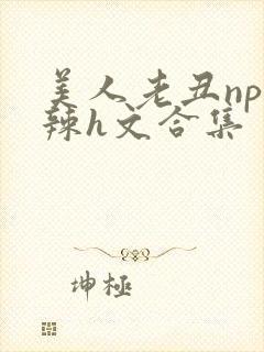美人老丑np高辣h文合集