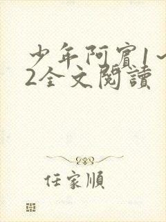 少年阿宾1～72全文阅读封面