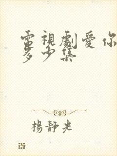 电视剧爱你一共多少集