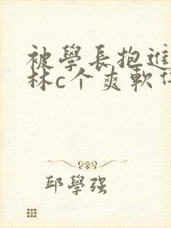 被学长抱进小树林c个爽软件