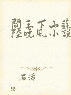 阎王下山苏文,陆晚风小说免费阅读