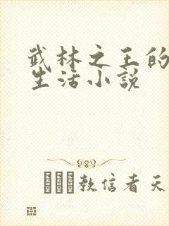 武林之王的退隐生活小说