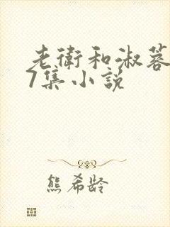 老卫和淑蓉1一7集小说