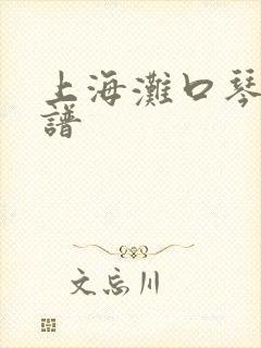 上海滩口琴曲简谱