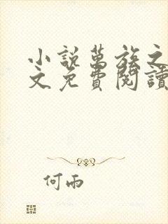 小说万族之劫全文免费阅读完整版