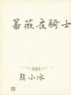 蔷薇夜骑士