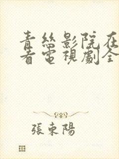 青丝影院在线观看电视剧全集免费