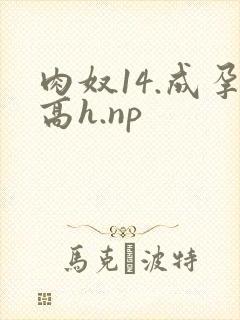 肉奴14.成孕高h.np封面