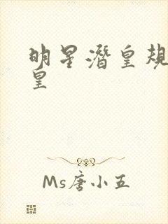 明星潜皇规则之皇