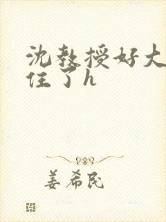 沈教授好大含不住了h