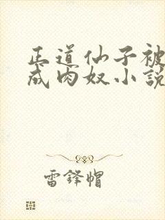 正道仙子被调教成肉奴小说