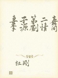 妻子第二春张倩李源剧情简介封面