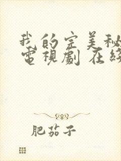 我的完美秘书 电视剧 在线观看