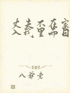 丈夫不在家时进入我里面日本电影封面