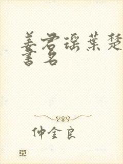 姜君瑶叶楚小说书名