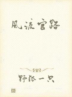 风流官路