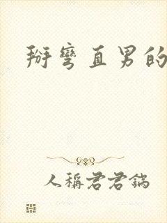 掰弯直男的小说